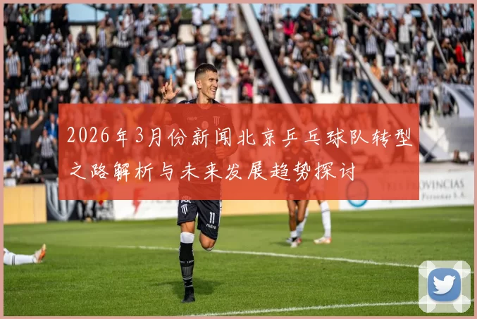 2026年3月份新闻北京乒乓球队转型之路解析与未来发展趋势探讨
